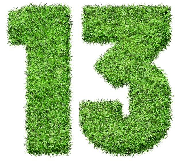 13,Number,In,Green,Grass,Filled,The,Character,.,Isolated